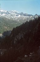 Bild 2 (270 Bildaufrufe)