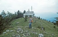 Türnitzer Höger (487 Bildaufrufe)