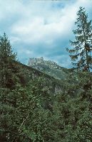 Bild 3 (292 Bildaufrufe)