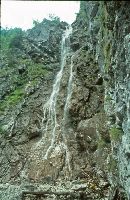 Bild 2 (239 Bildaufrufe)