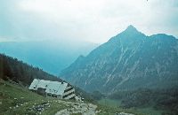 Bild 3 (257 Bildaufrufe)