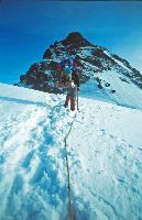 Silvretta-Egghorn, Gr.Piz Buin (238 Bildaufrufe)