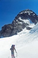 Silvretta-Egghorn, Gr.Piz Buin (228 Bildaufrufe)