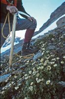 Gr.Piz Buin, Silvretta-Egghorn (272 Bildaufrufe)