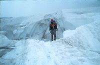 Gr.Piz Buin, Silvretta-Egghorn (234 Bildaufrufe)