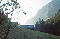 Bild 3 (263 Bildaufrufe)
