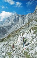 Bild 15 (228 Bildaufrufe)