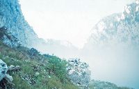 Bild 1 (193 Bildaufrufe)