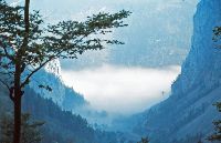 Bild 2 (204 Bildaufrufe)
