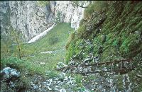 Bild 4 (246 Bildaufrufe)