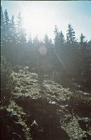Bild 5 (268 Bildaufrufe)