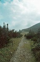 Heukuppe (305 Bildaufrufe)