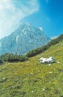 Bild 6 (224 Bildaufrufe)