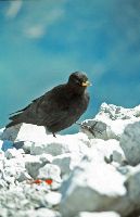 Bild 11 (252 Bildaufrufe)