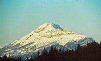 Bild 1 (262 Bildaufrufe)