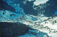 Gr.Ötscher (263 Bildaufrufe)