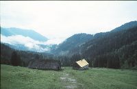 Bild 2 (221 Bildaufrufe)