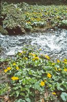 Bild 20 (255 Bildaufrufe)