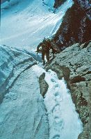 Bild 11 (264 Bildaufrufe)