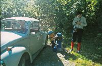 Bild 1 (323 Bildaufrufe)