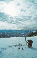 Bild 1 (287 Bildaufrufe)
