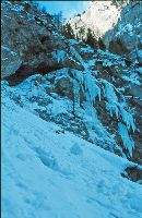 Bild 3 (324 Bildaufrufe)