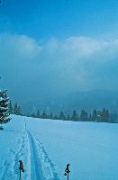 Tirolerkogel (226 Bildaufrufe)