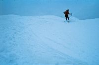 Bild 6 (303 Bildaufrufe)