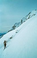 Bild 8 (213 Bildaufrufe)
