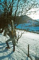 Scheiblingstein, Stadelfeldschneid (247 Bildaufrufe)