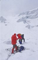 Bild 10 (283 Bildaufrufe)
