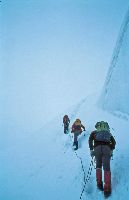 Bild 21 (231 Bildaufrufe)