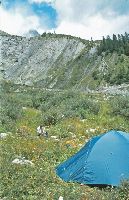 Bild 2 (291 Bildaufrufe)