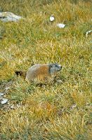 Bild 17 (292 Bildaufrufe)