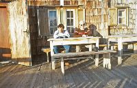 Bild 1 (321 Bildaufrufe)