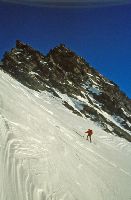 Bild 7 (221 Bildaufrufe)