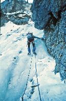 Bild 3 (308 Bildaufrufe)