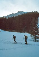 Hohe Veitsch (246 Bildaufrufe)