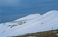 Bild 4 (230 Bildaufrufe)