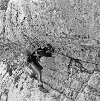 Planspitze (535 Bildaufrufe)