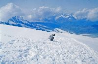 Dufourspitze (247 Bildaufrufe)