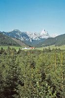 Bild 2 (251 Bildaufrufe)