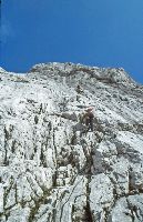 Bild 2 (309 Bildaufrufe)