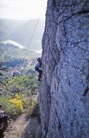 Dürnstein (404 Bildaufrufe)