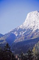 Bild 2 (273 Bildaufrufe)