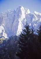 Bild 4 (215 Bildaufrufe)
