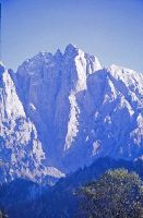 Bild 13 (276 Bildaufrufe)