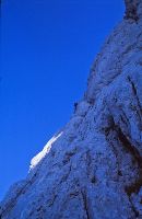 Bild 4 (293 Bildaufrufe)