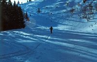 Bild 7 (261 Bildaufrufe)