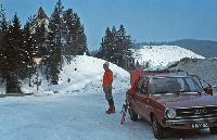 Bild 1 (311 Bildaufrufe)